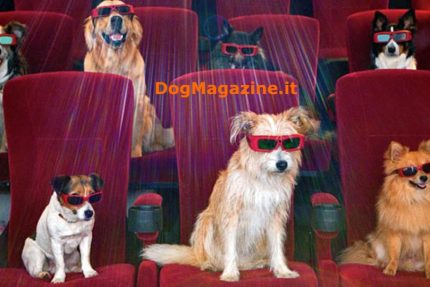 I film sui cani più belli scelti dal dogmagazine.it
